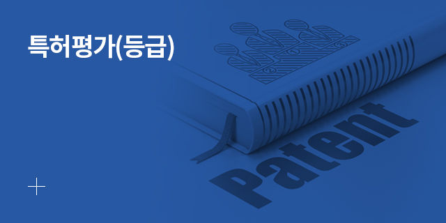 특허평가(등급)